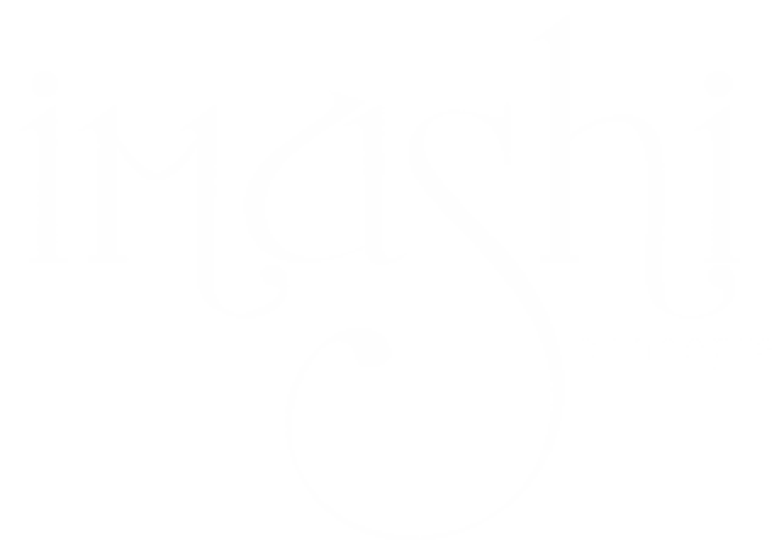 Imashi Concepts